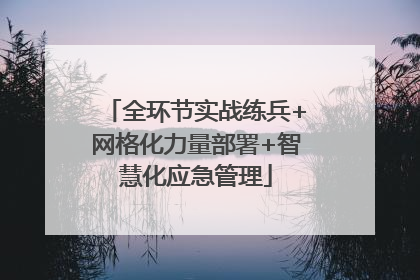 全环节实战练兵+网格化力量部署+智慧化应急管理