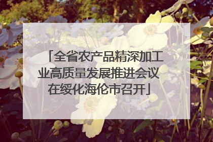 全省农产品精深加工业高质量发展推进会议在绥化海伦市召开