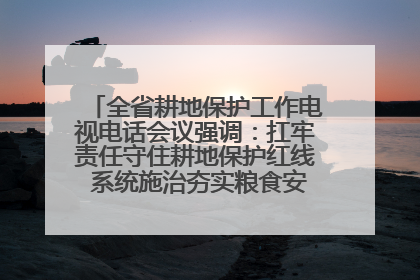 全省耕地保护工作电视电话会议强调：扛牢责任守住耕地保护红线 系统施治夯实粮食安全根基 王宁作出批示 王予波出席并讲话