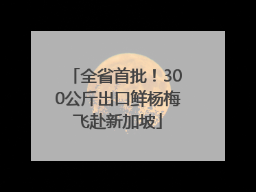 全省首批！300公斤出口鲜杨梅飞赴新加坡