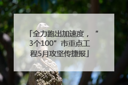 全力跑出加速度，“3个100”市重点工程5月攻坚传捷报