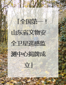 全国第一！山东省文物安全卫星遥感监测中心揭牌成立