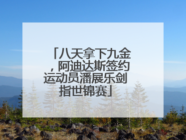 八天拿下九金，阿迪达斯签约运动员潘展乐剑指世锦赛