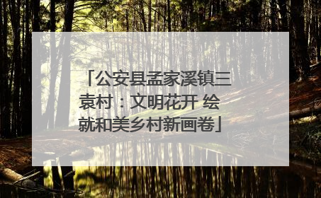公安县孟家溪镇三袁村：文明花开 绘就和美乡村新画卷