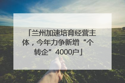 兰州加速培育经营主体，今年力争新增“个转企”4000户