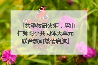 共擎教研火炬，眉山仁师附小共同体大单元联合教研燃情启航