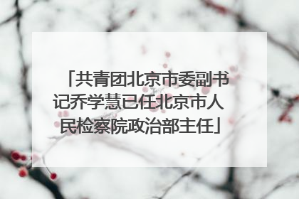 共青团北京市委副书记乔学慧已任北京市人民检察院政治部主任