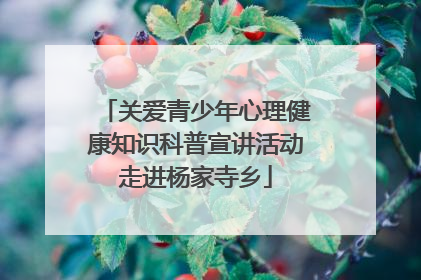 关爱青少年心理健康知识科普宣讲活动走进杨家寺乡