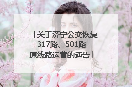 关于济宁公交恢复317路、501路原线路运营的通告