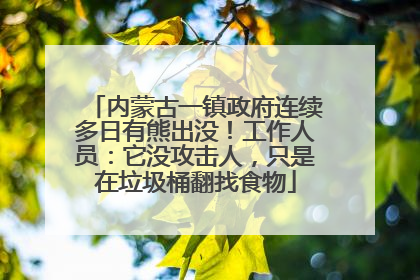 内蒙古一镇政府连续多日有熊出没！工作人员：它没攻击人，只是在垃圾桶翻找食物