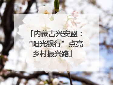 内蒙古兴安盟：“阳光银行”点亮乡村振兴路