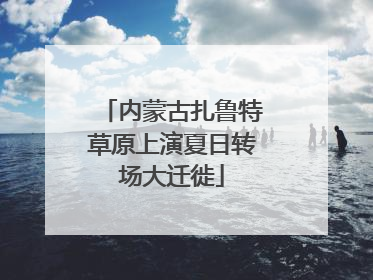 内蒙古扎鲁特草原上演夏日转场大迁徙