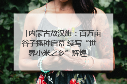 内蒙古敖汉旗：百万亩谷子播种启幕 续写“世界小米之乡”辉煌