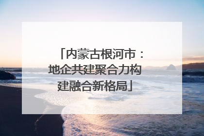 内蒙古根河市：地企共建聚合力构建融合新格局