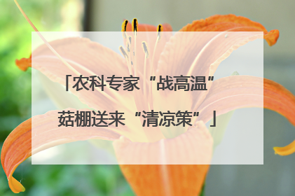 农科专家“战高温” 菇棚送来“清凉策”