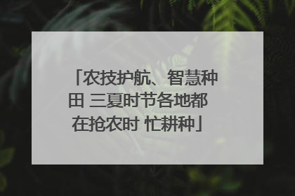 农技护航、智慧种田 三夏时节各地都在抢农时 忙耕种