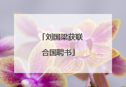 刘国梁获联合国聘书