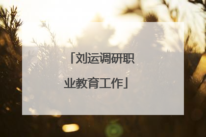 刘运调研职业教育工作