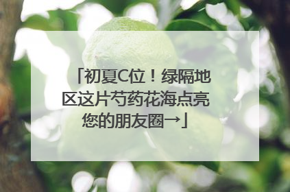 初夏C位！绿隔地区这片芍药花海点亮您的朋友圈→
