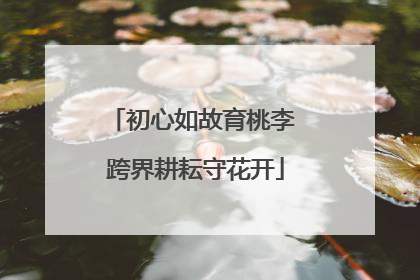 初心如故育桃李 跨界耕耘守花开