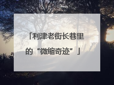 利津老街长巷里的“微缩奇迹”