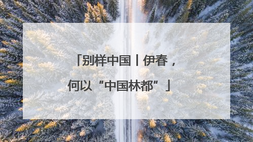 别样中国丨伊春，何以“中国林都”