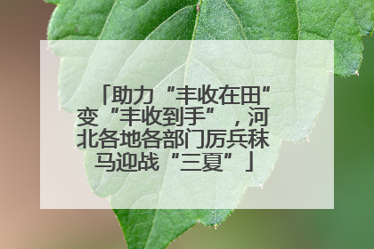 助力“丰收在田”变“丰收到手”，河北各地各部门厉兵秣马迎战“三夏”