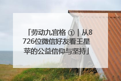 劳动九宫格 ①｜从8726位微信好友看王星苹的公益信仰与坚持