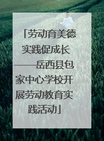 劳动育美德 实践促成长——岳西县包家中心学校开展劳动教育实践活动