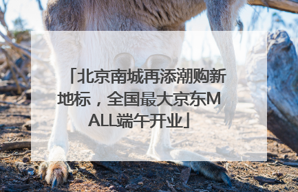 北京南城再添潮购新地标，全国最大京东MALL端午开业