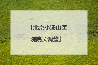 北京小汤山医院院长调整