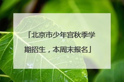 北京市少年宫秋季学期招生，本周末报名