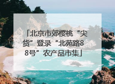 北京市郊樱桃“尖货”登录“北苑路88号”农产品市集