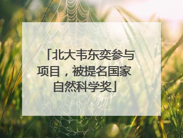 北大韦东奕参与项目，被提名国家自然科学奖
