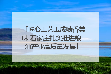 匠心工艺玉成喷香美味 石家庄扎实推进粮油产业高质量发展