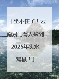 坐不住了！云南易门有人捡到2025年头水鸡枞！