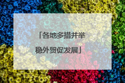 各地多措并举稳外贸促发展
