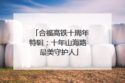 合福高铁十周年特辑：十年山海路 最美守护人