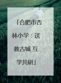合肥市杏林小学：送教古城 互学共研