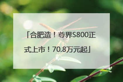 合肥造！尊界S800正式上市！70.8万元起
