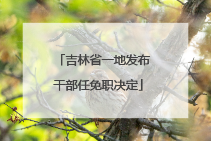 吉林省一地发布干部任免职决定