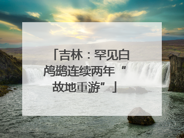 吉林：罕见白鸬鹚连续两年“故地重游”