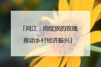同江：用绽放的玫瑰 推动乡村经济振兴