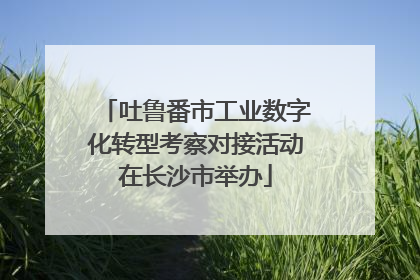 吐鲁番市工业数字化转型考察对接活动在长沙市举办
