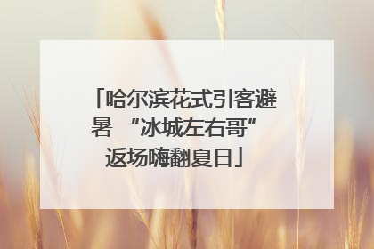 哈尔滨花式引客避暑 “冰城左右哥”返场嗨翻夏日