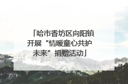哈市香坊区向阳镇开展“情暖童心共护未来”捐赠活动