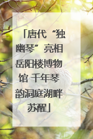 唐代“独幽琴”亮相岳阳楼博物馆 千年琴韵洞庭湖畔苏醒