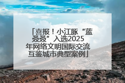 喜报！小江豚“蓝叒叒”入选2025年网络文明国际交流互鉴城市典型案例