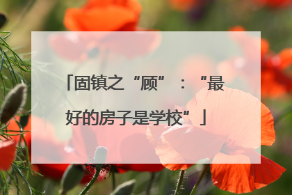 固镇之“顾”：“最好的房子是学校”