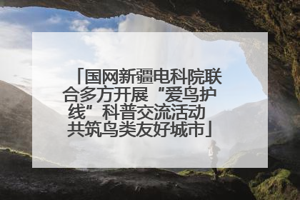 国网新疆电科院联合多方开展“爱鸟护线”科普交流活动 共筑鸟类友好城市